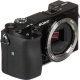ony Alpha A6100 Mirrorless Camera with 16-50mm Lens (ILCE6100L/B) Bundle